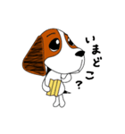 ビーグル犬のビッキーちゃん（個別スタンプ：34）