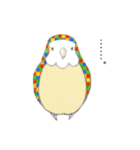 イロイロインコ（個別スタンプ：15）