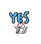 白ねこ、ブリティッシュショートと出会う（個別スタンプ：29）