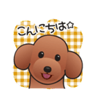 カワイイ！ラブリー！トイプードル！（個別スタンプ：2）
