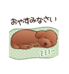 カワイイ！ラブリー！トイプードル！（個別スタンプ：4）