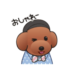 カワイイ！ラブリー！トイプードル！（個別スタンプ：6）