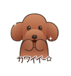 カワイイ！ラブリー！トイプードル！（個別スタンプ：7）