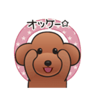 カワイイ！ラブリー！トイプードル！（個別スタンプ：9）