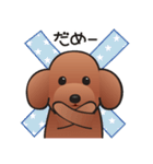 カワイイ！ラブリー！トイプードル！（個別スタンプ：10）