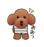 カワイイ！ラブリー！トイプードル！（個別スタンプ：12）