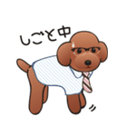 カワイイ！ラブリー！トイプードル！（個別スタンプ：13）