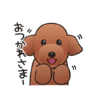 カワイイ！ラブリー！トイプードル！（個別スタンプ：16）