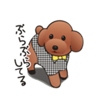 カワイイ！ラブリー！トイプードル！（個別スタンプ：20）