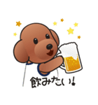カワイイ！ラブリー！トイプードル！（個別スタンプ：24）