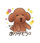 カワイイ！ラブリー！トイプードル！（個別スタンプ：27）