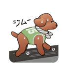 カワイイ！ラブリー！トイプードル！（個別スタンプ：30）