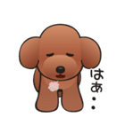 カワイイ！ラブリー！トイプードル！（個別スタンプ：33）
