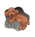 カワイイ！ラブリー！トイプードル！（個別スタンプ：34）
