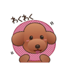 カワイイ！ラブリー！トイプードル！（個別スタンプ：39）