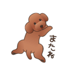 カワイイ！ラブリー！トイプードル！（個別スタンプ：40）