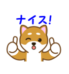 柴犬たろう 其の2（個別スタンプ：2）