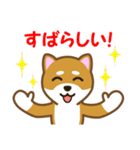 柴犬たろう 其の2（個別スタンプ：3）