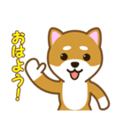 柴犬たろう 其の2（個別スタンプ：9）