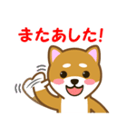 柴犬たろう 其の2（個別スタンプ：13）