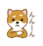 柴犬たろう 其の2（個別スタンプ：38）