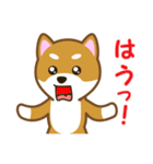 柴犬たろう 其の2（個別スタンプ：40）