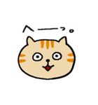 茶トラです。（個別スタンプ：1）