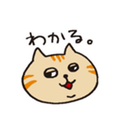 茶トラです。（個別スタンプ：6）