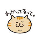 茶トラです。（個別スタンプ：8）