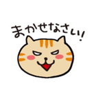 茶トラです。（個別スタンプ：11）