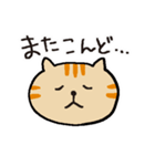 茶トラです。（個別スタンプ：13）
