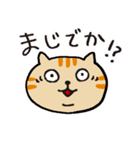 茶トラです。（個別スタンプ：19）