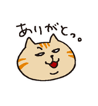 茶トラです。（個別スタンプ：35）