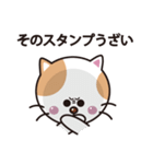 毒舌にゃんこ君（個別スタンプ：39）