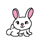 Corolinの世界（ぴょんこ）（個別スタンプ：1）