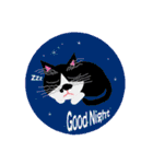 cat40 part2(new)（個別スタンプ：7）