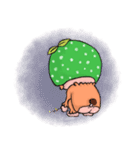 シトラスもんちー（個別スタンプ：19）