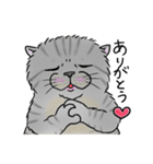 なぜか気になる猫（個別スタンプ：2）