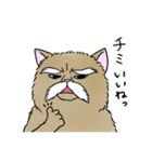 なぜか気になる猫（個別スタンプ：5）