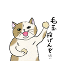 なぜか気になる猫（個別スタンプ：6）