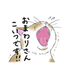 なぜか気になる猫（個別スタンプ：10）