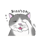 なぜか気になる猫（個別スタンプ：13）