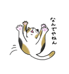 なぜか気になる猫（個別スタンプ：14）