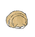 なぜか気になる猫（個別スタンプ：18）