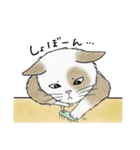 なぜか気になる猫（個別スタンプ：19）