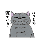 なぜか気になる猫（個別スタンプ：22）