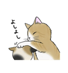 なぜか気になる猫（個別スタンプ：24）