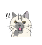 なぜか気になる猫（個別スタンプ：25）