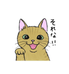 なぜか気になる猫（個別スタンプ：26）
