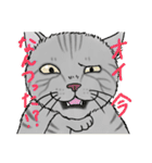 なぜか気になる猫（個別スタンプ：27）